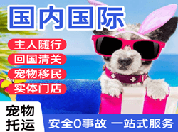 梅州梅县机场空运国际宠物托运 【国